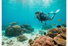 الغوص في اليابان